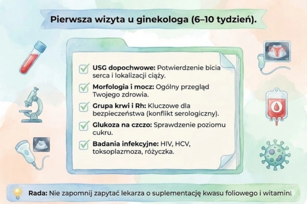 6 tydzień ciąży – jakie badania wykonać